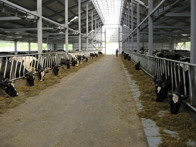 diagonalnaya_400 diagonalnaya_400