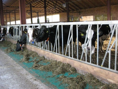 headlock2_400 headlock2_400