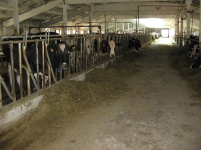 headlock_400 headlock_400