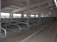 oborudovanie_dlya_stoilovyh_4_01 oborudovanie_dlya_stoilovyh_4_01