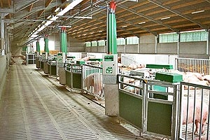 avtomat_systema_kormleniya2