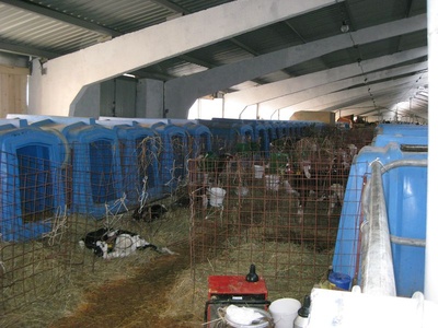 domiki_dlya_telyat_400_06