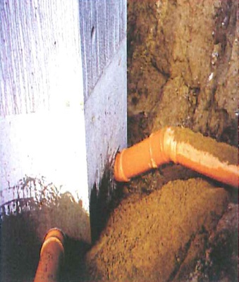 potiani1_400