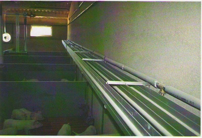 ppp_400