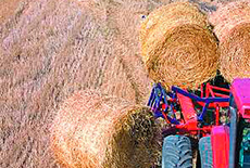 rotate-bails