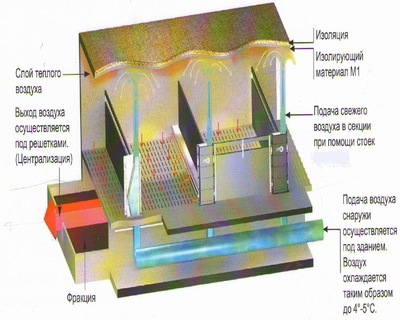 stoika_400